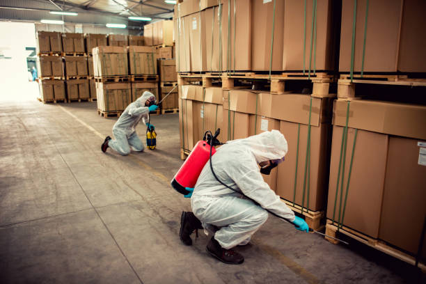 Best Pest Control Treatment  in Lake Ridge, VA