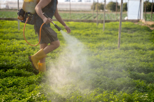 Pest Control for Restaurants in Lake Ridge, VA