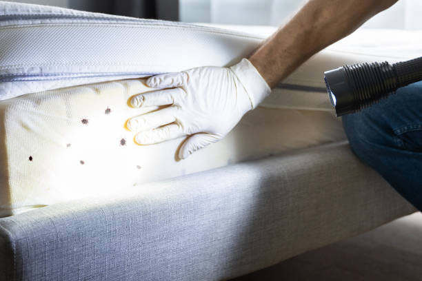Best Pest Control for Businesses  in Lake Ridge, VA