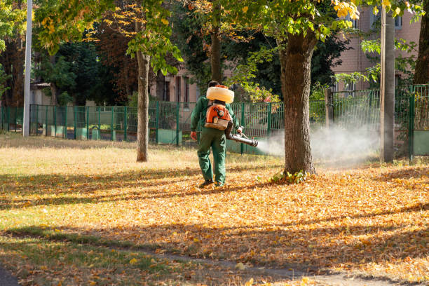 Trusted Lake Ridge, VA Pest Control Experts