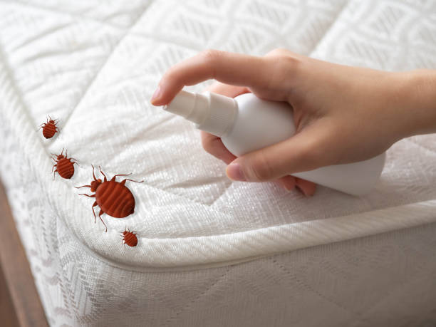 Best Pest Removal Services  in Lake Ridge, VA