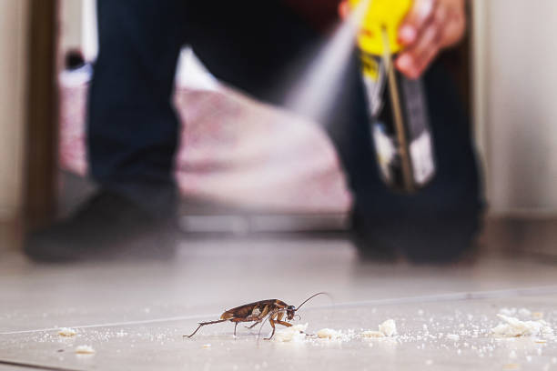 Wildlife Control Services in Lake Ridge, VA