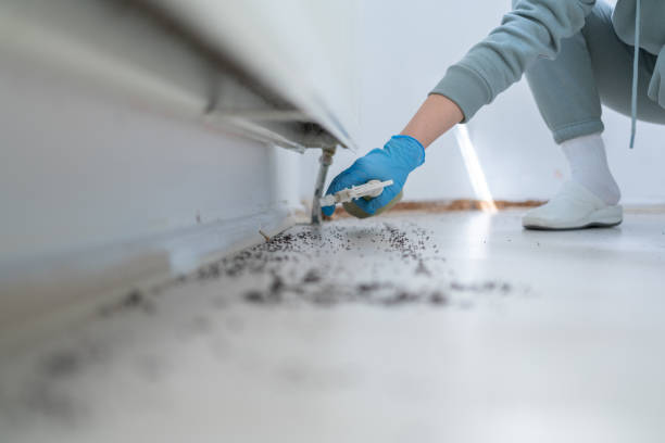 Best Exterminator Services  in Lake Ridge, VA